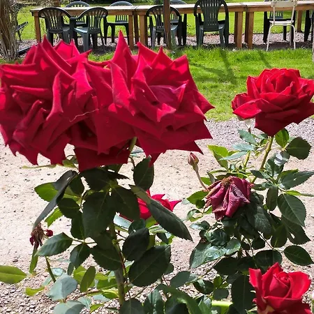 Le Moulin De Douzy 3*