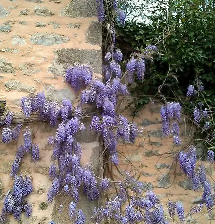 Panzió Le Moulin De Douzy Saint-Christophe (Charente)