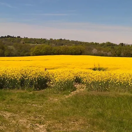 Panzió Le Moulin De Douzy Saint-Christophe (Charente)