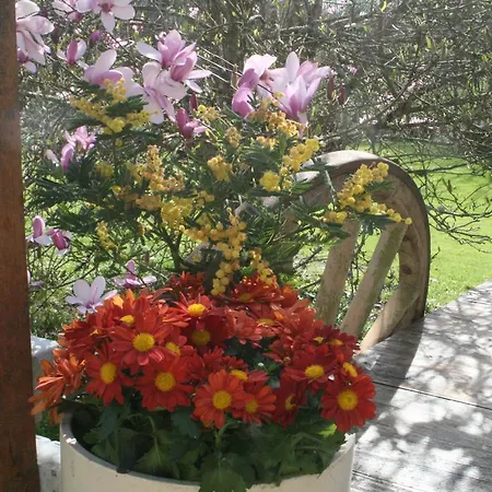 Le Moulin De Douzy Panzió Saint-Christophe (Charente)