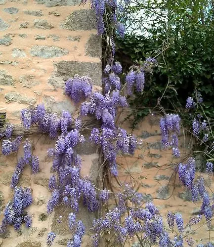Bed & Breakfast Le Moulin De Douzy Saint-Christophe (Charente)