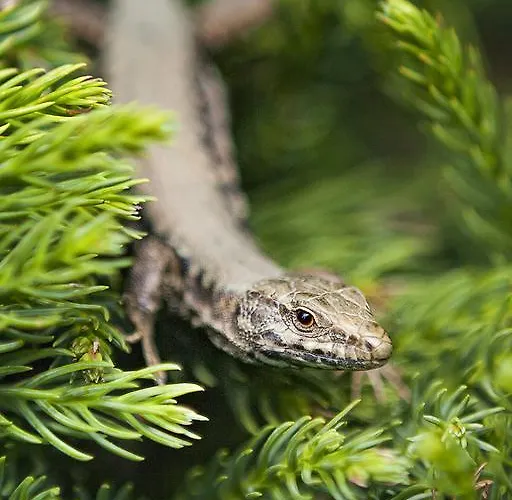 Bed & Breakfast Le Moulin De Douzy