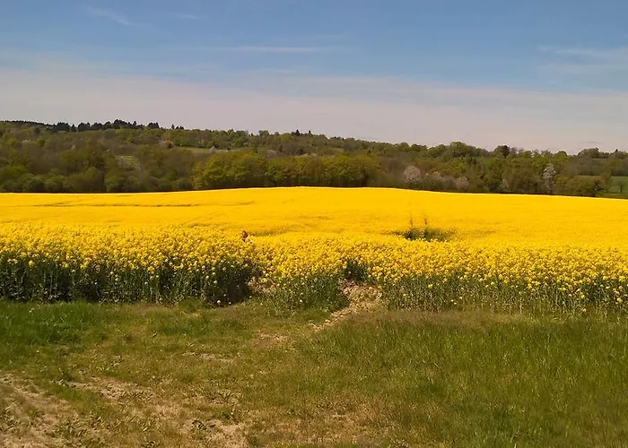 Bed & Breakfast Le Moulin De Douzy Saint-Christophe (Charente)