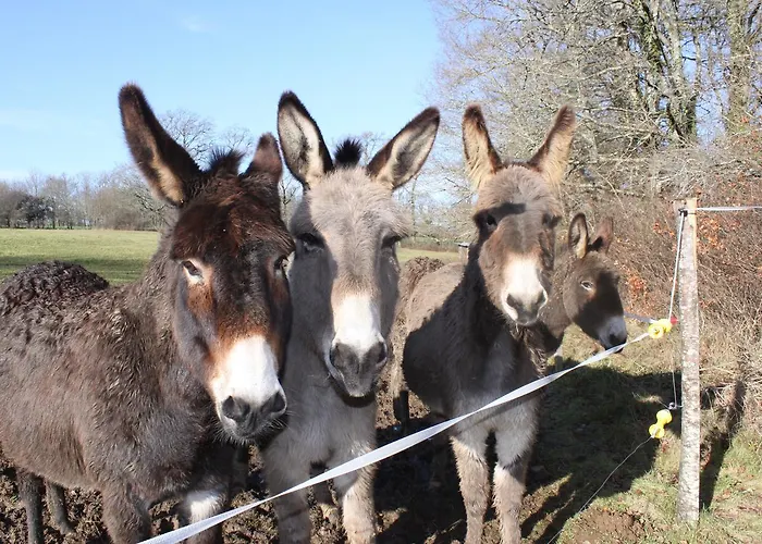 Le Moulin De Douzy Bed & Breakfast Saint-Christophe (Charente)
